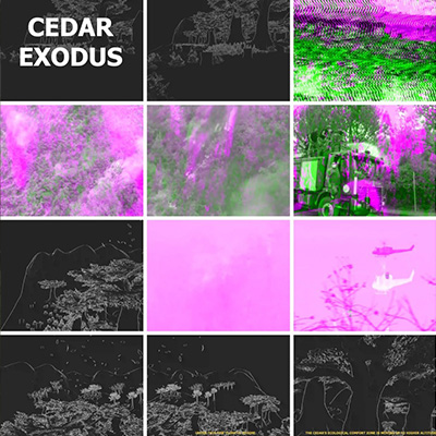 Cedar Exodus